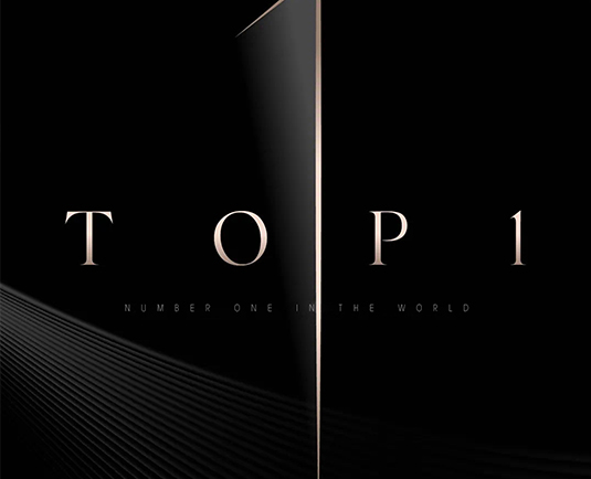 企業(yè)榮譽(yù)