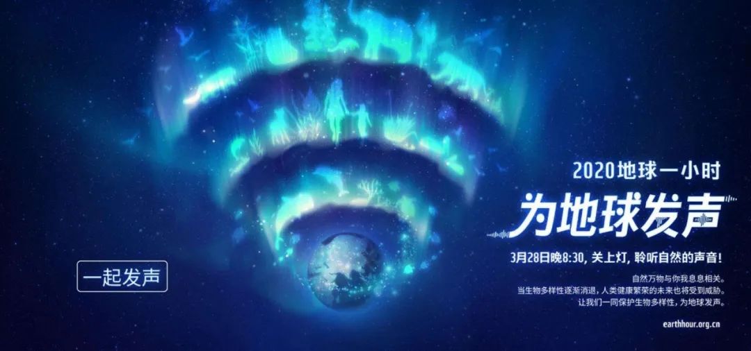 環(huán)保進行時 | 華洲木業(yè)，用行動為地球發(fā)聲(圖1)
