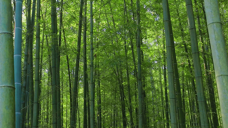 官網1.jpg